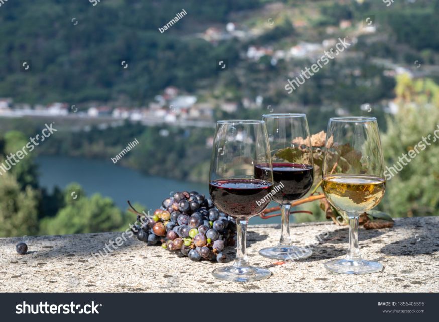 From Porto: Full-Day Douro Historical Tour - The road to the Douro is part of the tour