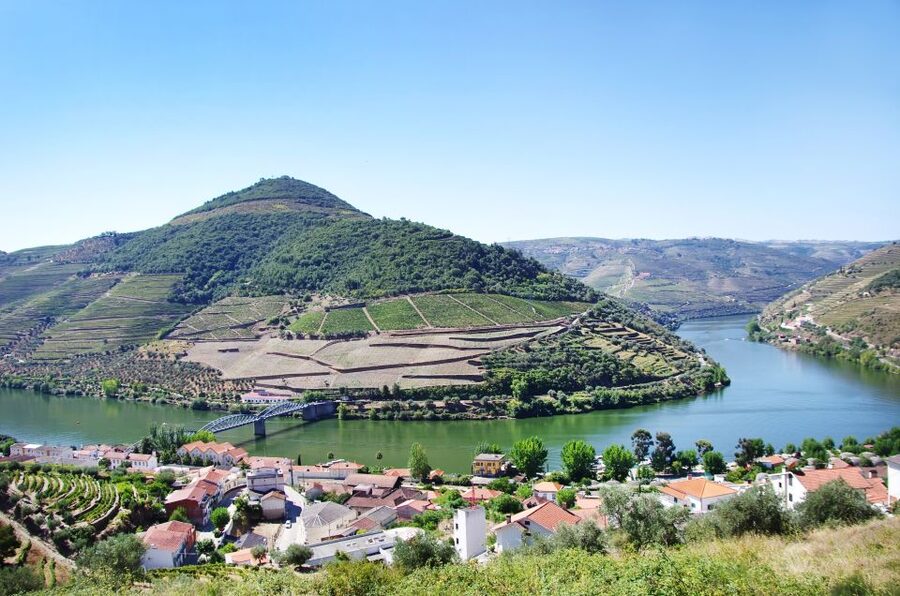 From Porto: Full-Day Douro Historical Tour - Port tasting explains the region’s famous drink