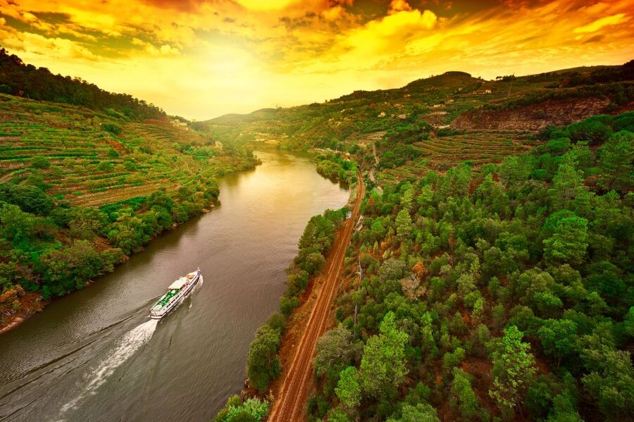 From Porto: Full-Day Douro Historical Tour - Who should book this Douro tour?
