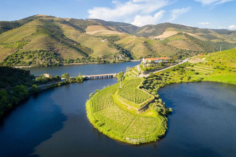From Porto: Full-Day Douro Valley Trip - Key points to know before you book