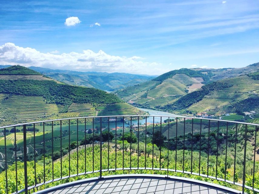 From Porto: Full-Day Douro Valley Trip - The first winery explains how port is made