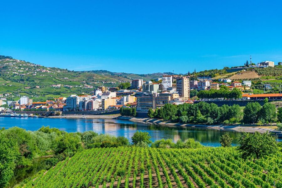 From Porto: Full-Day Douro Valley Trip - Lunch in a wine cellar with Douro pairings