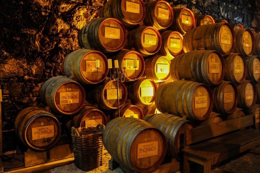 From Porto: Full-Day Douro Valley Trip - A one-hour boat ride through the Douro