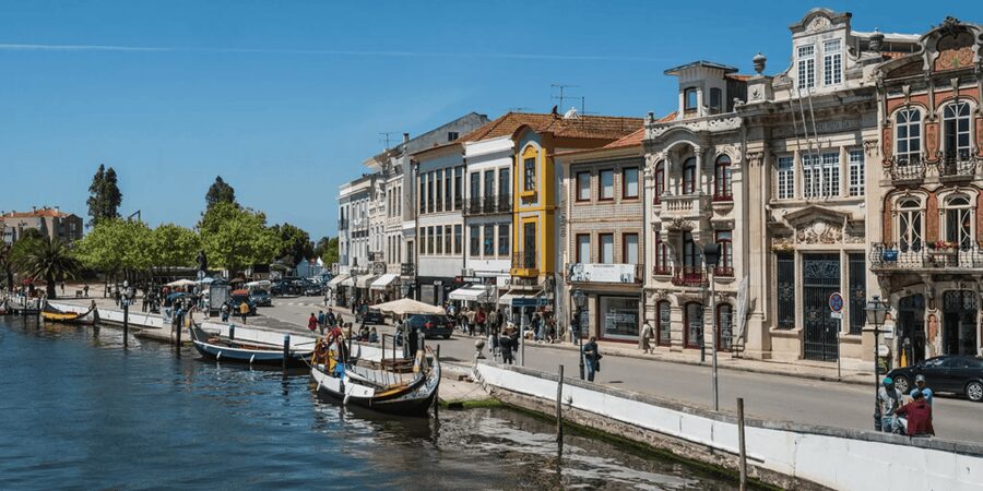 From Porto: Full-Day Trip to Coimbra & Aveiro with Boat Ride - Lunch in the Coimbra District