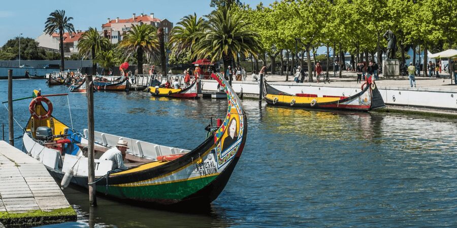 From Porto: Full-Day Trip to Coimbra & Aveiro with Boat Ride - Leaving Porto for the first stop