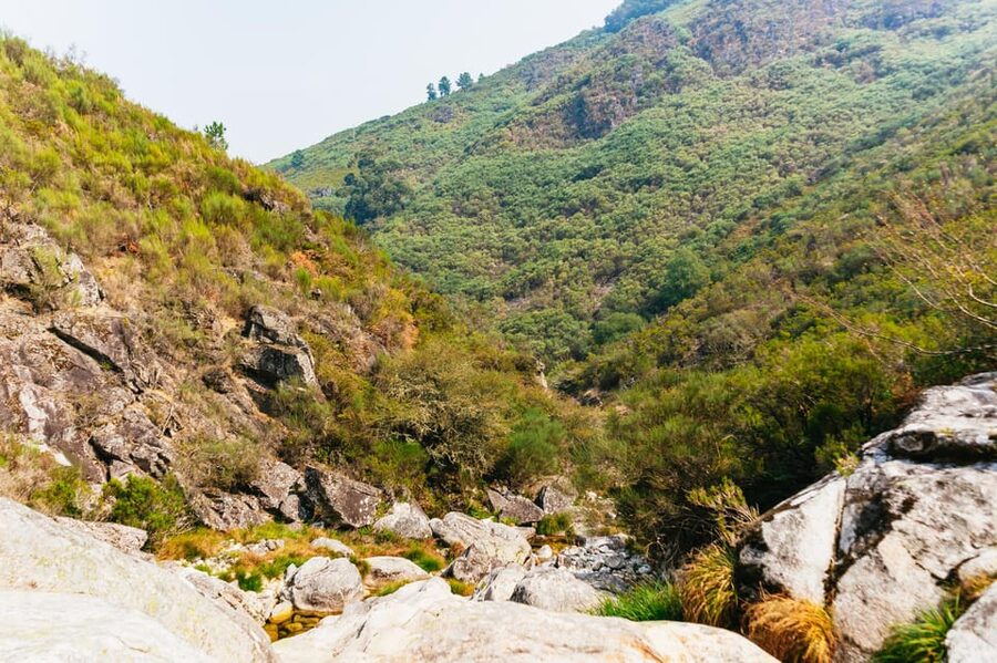 From Porto: Gerês National Park Canyoning Trip - The café stop and what to eat afterward