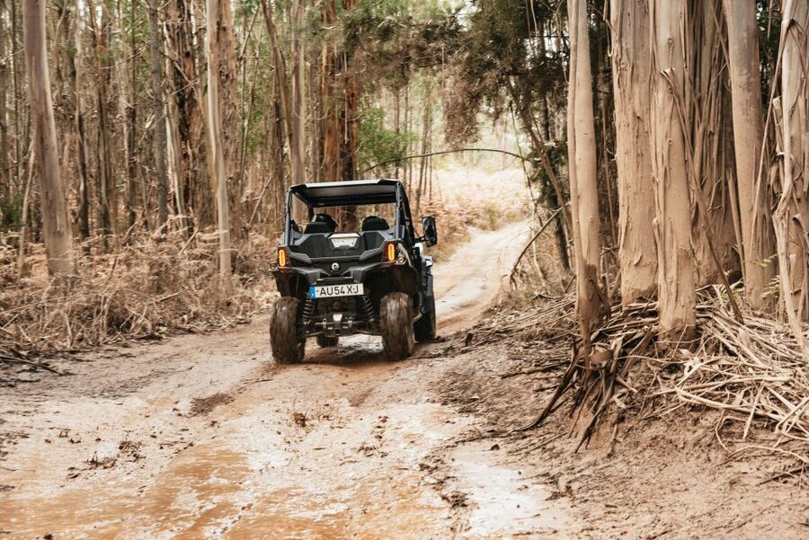 From Porto: Off-Road Buggy Adventure - Quintandona’s schist lanes