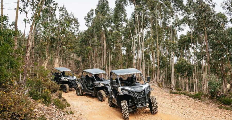 From Porto: Off-Road Buggy Adventure - Getting comfortable in the buggy