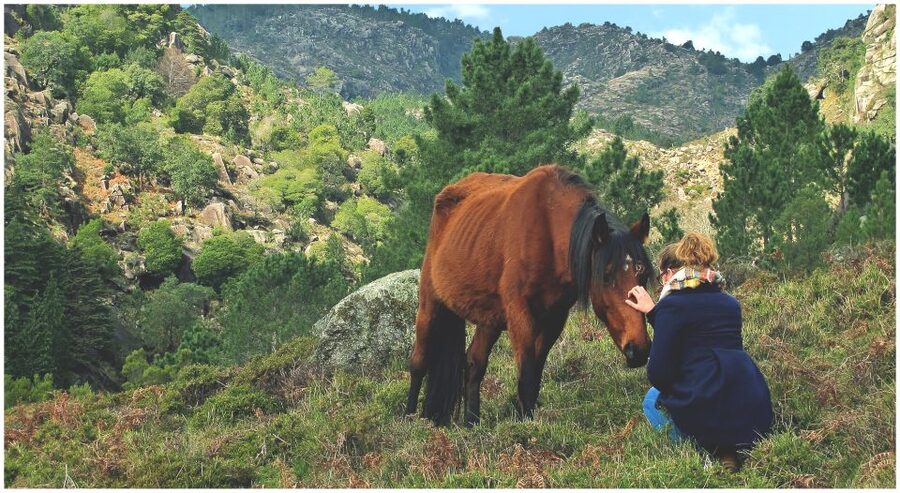 From Porto: Peneda-Gerês National Park Tour with Lunch - Practical Details Before You Book