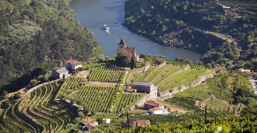 From Porto: Premium Douro Valley Small-Group Wine Tour - First winery: tasting, terraces, and how Douro wine is made