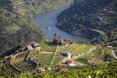 Premium Douro Valley Small-Group Wine Tour