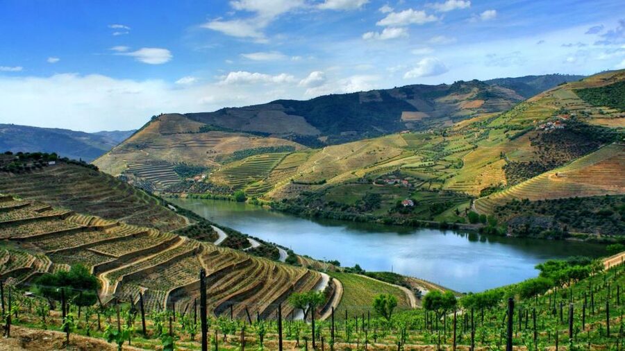 From Porto: Régua to Porto River Cruise with Lunch on Board - Six hours downstream through the Douro Valley