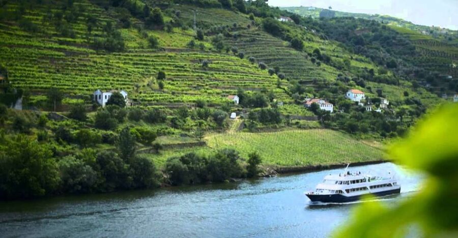 From Porto: Régua to Porto River Cruise with Lunch on Board - What lunch on board is really like