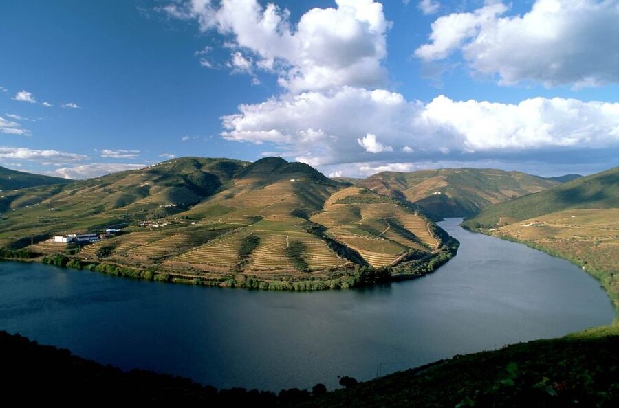 From Porto: Régua to Porto River Cruise with Lunch on Board - The Carrapatelo and Crestuma-Lever dams