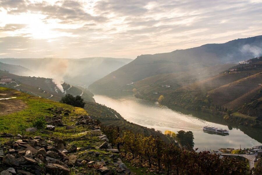 From Porto: Régua to Porto River Cruise with Lunch on Board - Guide service and organization
