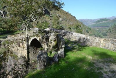 Small Group Day Tour of Geres National Park