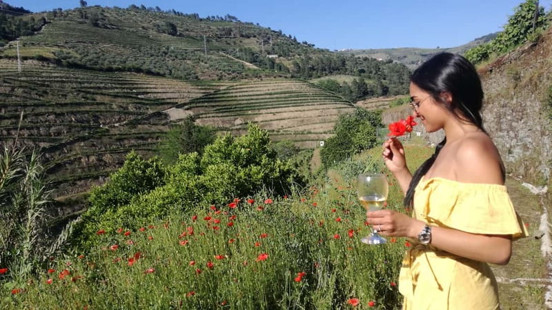 From Porto: Tastings at 2 Wineries, Chef's Lunch & Boat Tour - Meet small producers in Sabrosa and the Douro