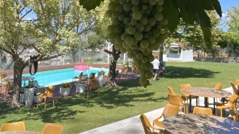 From Porto: Tastings at 2 Wineries, Chef's Lunch & Boat Tour - Practical details for a smoother day