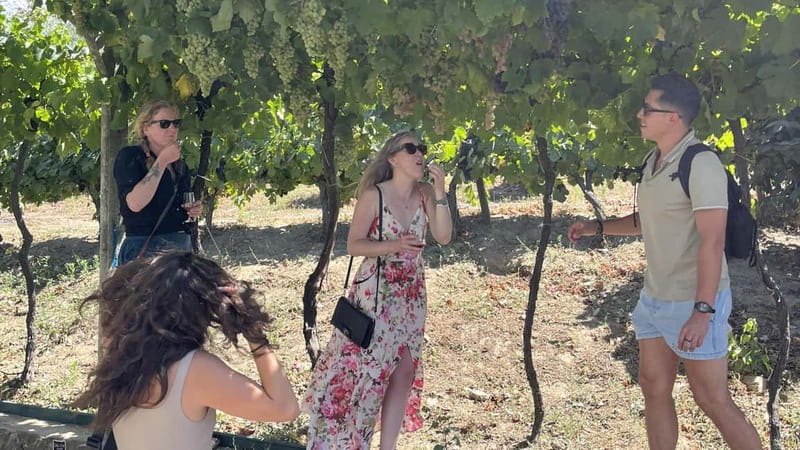 From Porto: Tastings at 2 Wineries, Chef's Lunch & Boat Tour - Who will enjoy this Douro day most