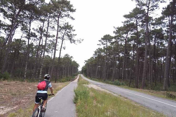 From Porto with view to Gaia: Private Bike Tour #DuckSideOfPorto - Crossing the Douro toward Gaia