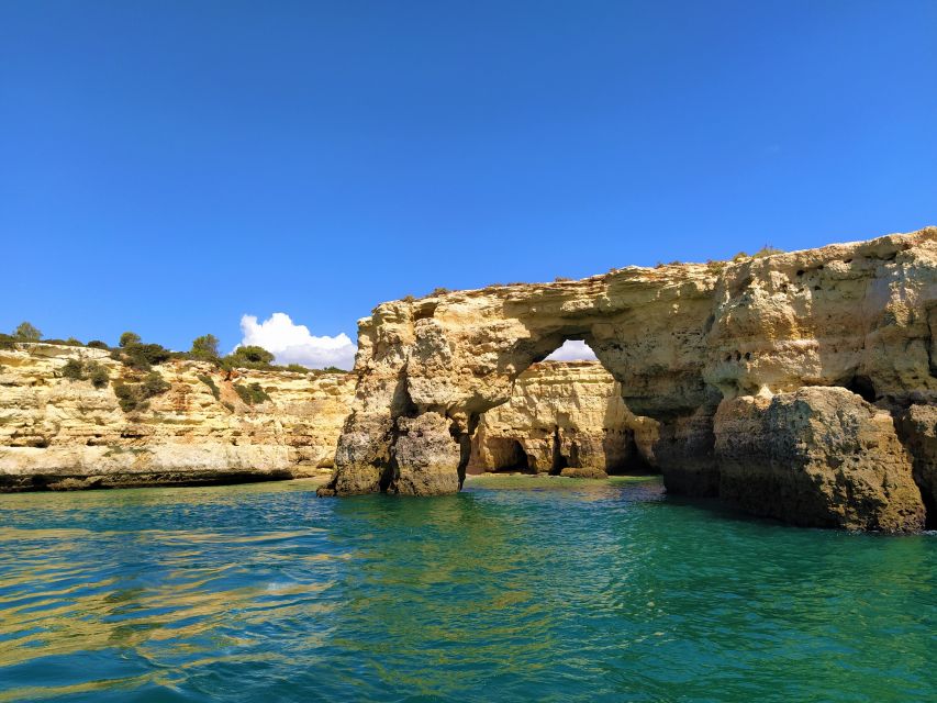 From Vilamoura: 2.5-Hour Benagil Cave and Dolphins Boat Tour - Should you book the Benagil and dolphins tour?