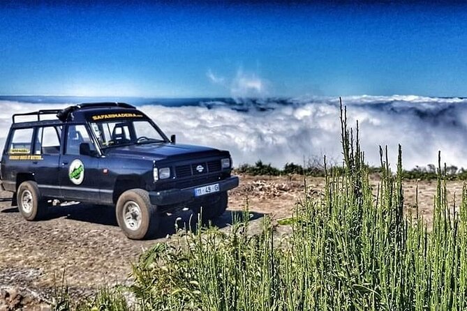 Full Day Jeep Safari East - Pico do Areeiro - Santana - Ponta de são Lourenço - Why this eastern Madeira tour works so well