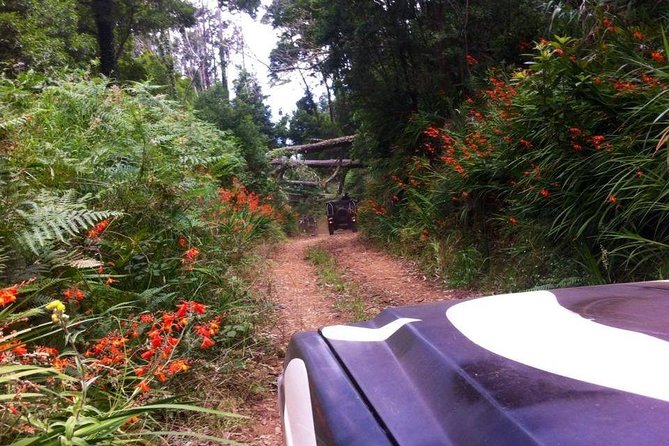 Full-Day Jeep Safari West: Fanal, Porto Moniz, Seixal, Cabo Girão - Câmara de Lobos starts the day by the fishing boats
