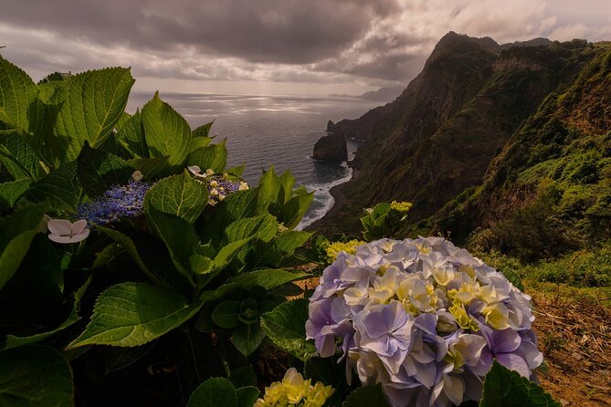 Full Day Madeira Island Tour - Open Roof - Seixal and the Véu da Noiva waterfall