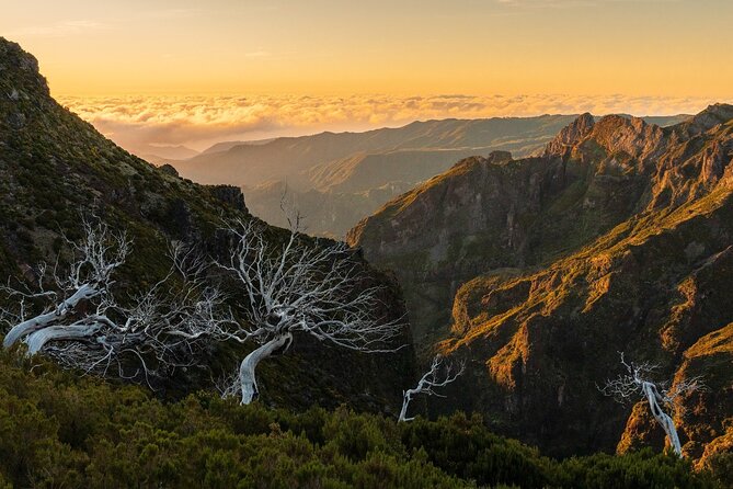 Full Day Madeira Island Tour - Open Roof - Ribeira da Janela and the north coast