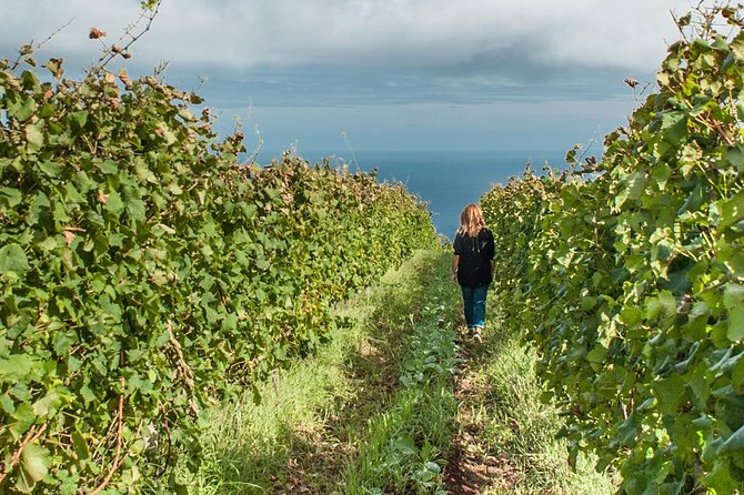 Full-Day Madeira Wine Tasting Tour with Lunch - Funchal adds history and a useful starting point