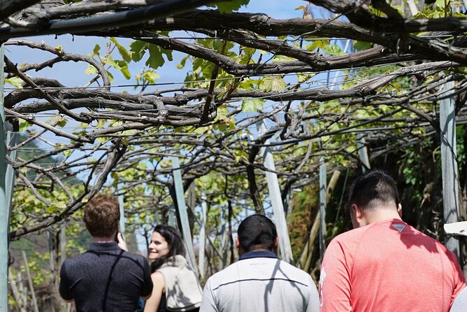 Full-Day Madeira Wine Tasting Tour with Lunch - Lunch is more than a pause between tastings