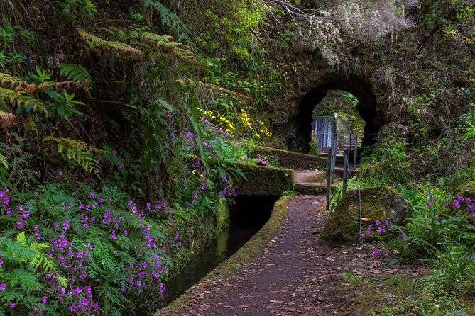 Full Day of Wonders: Madeira 4x4 Private Tour - Joel’s guiding style