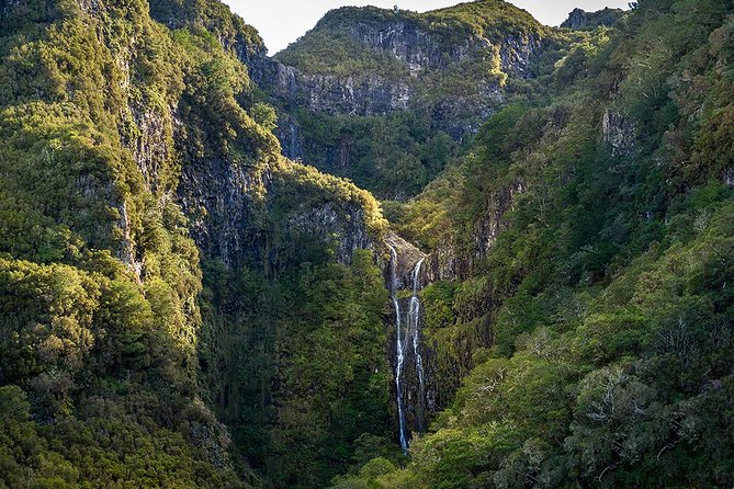 Full-Day Rabaçal Levada Walk from Funchal - From Funchal to Paul da Serra