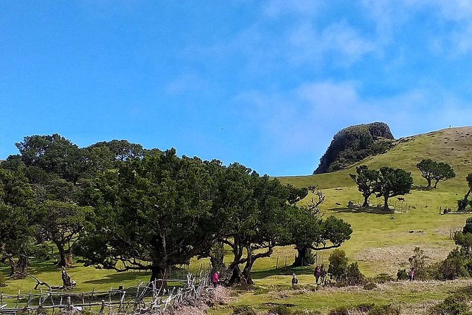 Full-Day Small Group Jeep Safari Tour from Funchal - Off-road comfort: exciting, but not gentle