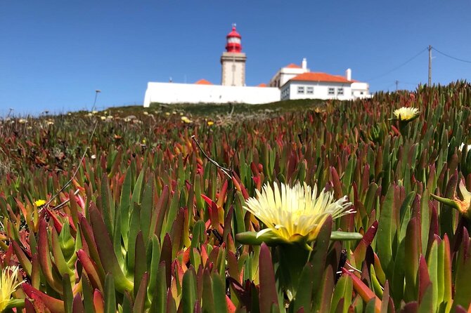 Full Day Tour: Sintra, Pena Palace, Cabo da Roca, Cascais - Is $96.79 a fair price?
