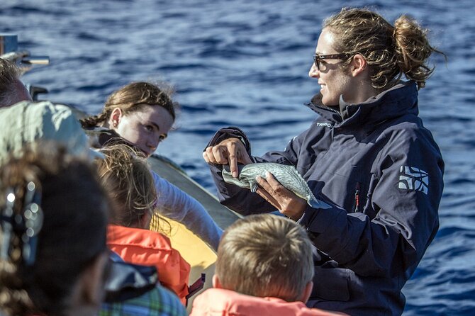 Full-Day Whales & The Princess Ring Islet (incl. Lunch) - Riding a traditional fishing boat to the islet