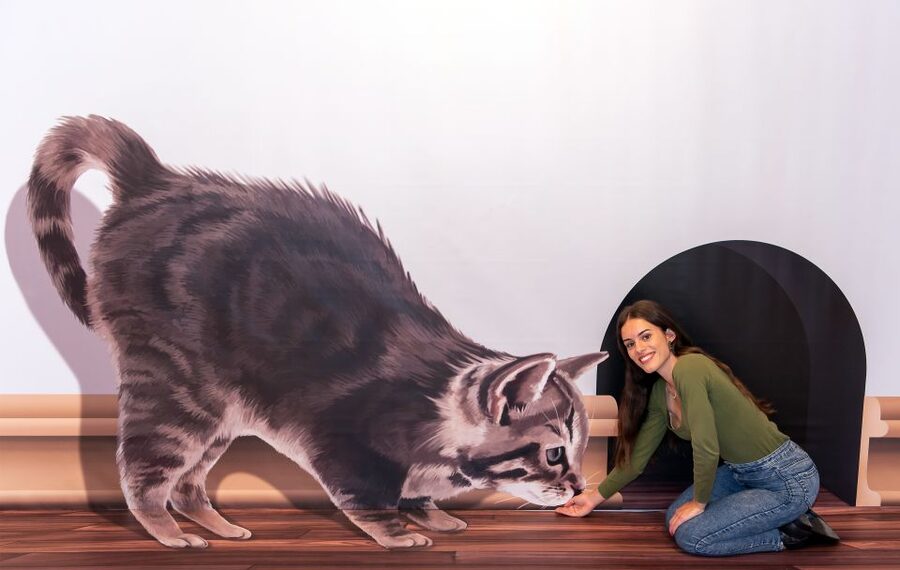 Funchal: 3D Fun Art Museum - The final Madeira folklore scene