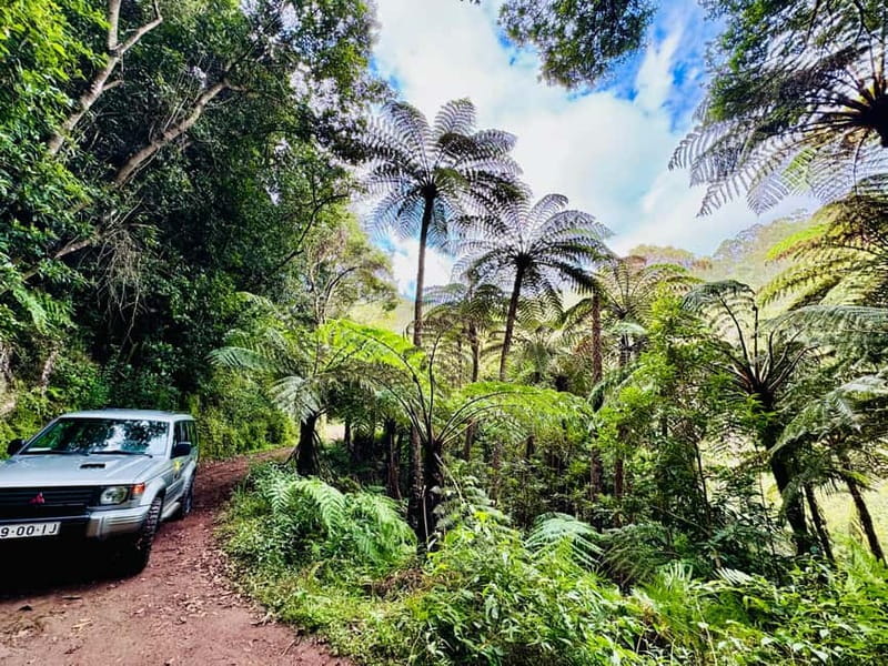 Funchal: 4x4 Jeep Trip to the East and Northeast of Madeira - Why this Jeep day works so well