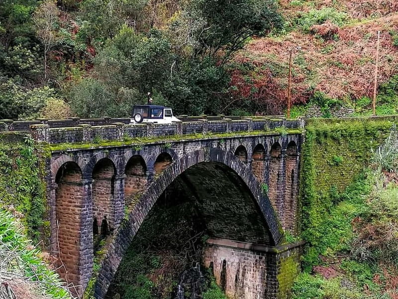 Funchal: 4x4 Jeep Trip to the East and Northeast of Madeira - Ribeiro Frio and the optional levada walk