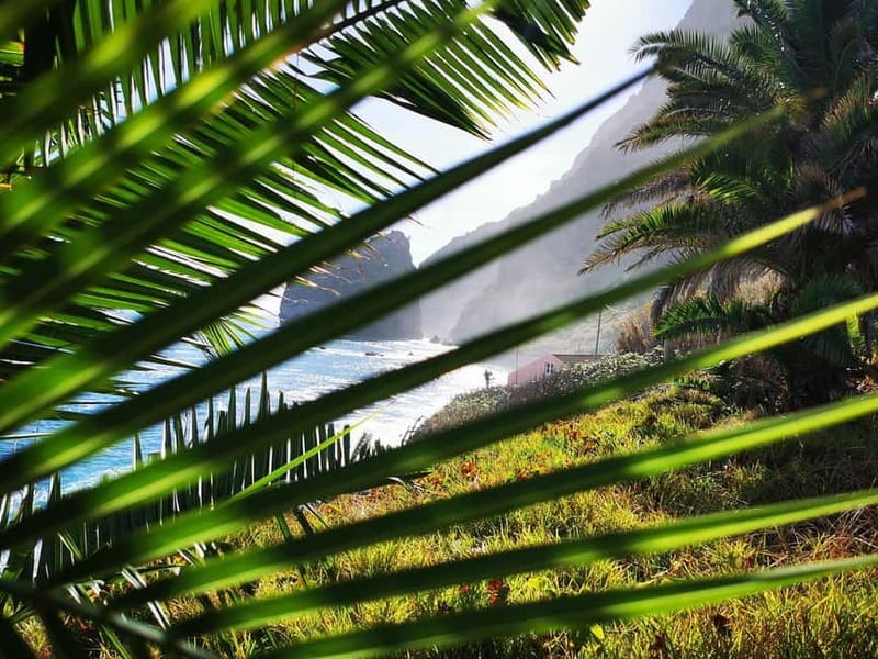 Funchal: 4x4 Jeep Trip to the East and Northeast of Madeira - Faial and the northeastern viewpoints
