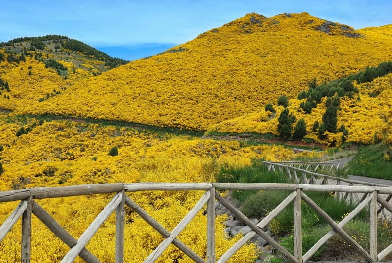 Funchal: 4x4 Jeep Trip to the East and Northeast of Madeira - The Royal Path near Lombo Galego