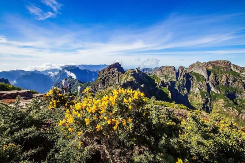 Funchal: 4x4 Jeep Trip to the East and Northeast of Madeira - From Funchal to Paredão viewpoint