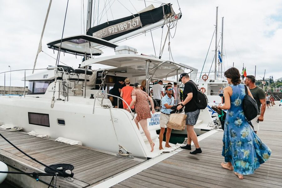 Funchal Bay: Dolphin & Whale Watch Luxury Catamaran Cruise - The secret stop and the wildlife watch