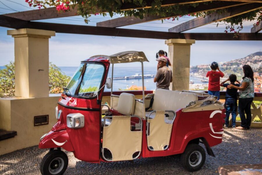 Funchal: Best Viewpoints Guided Tuk Tuk Tour - Key points at a glance