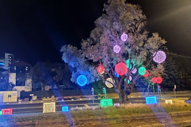 Funchal Christmas lights sightseeing night tour - Why Funchal’s Christmas lights deserve a night tour