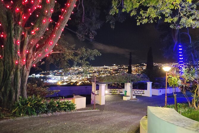 Funchal Christmas lights sightseeing night tour - What your private driver adds