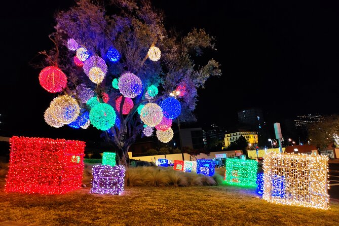 Funchal Christmas lights sightseeing night tour - Timing, traffic, and the two departure choices