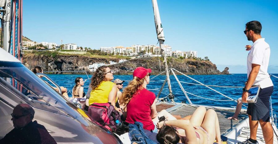 Funchal: Dolphin and Whale Watching by Luxury Catamaran - Key points to know before sailing