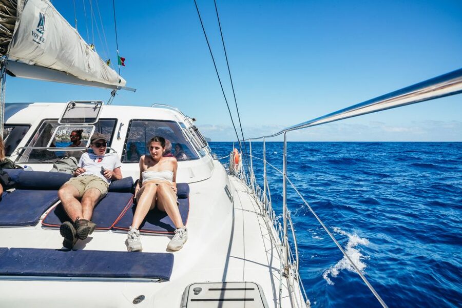 Funchal: Dolphin and Whale Watching by Luxury Catamaran - When to book and what to pack