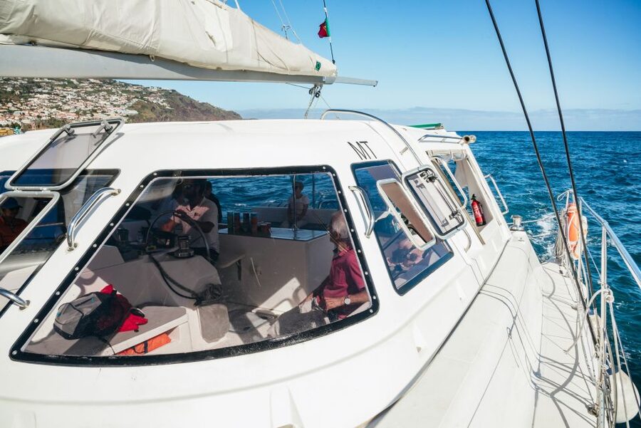 Funchal: Dolphin and Whale Watching by Luxury Catamaran - Leaving Funchal for the open Atlantic